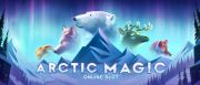 Arctic Magic Logo