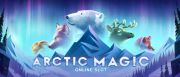 Arctic Magic