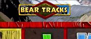 bear-tracks-1