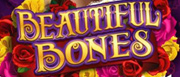 Beautiful Bones