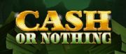 Cash or Nothing Logo