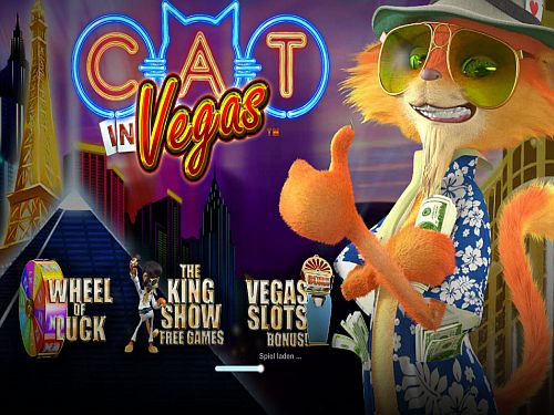 catinvegas-vorschau