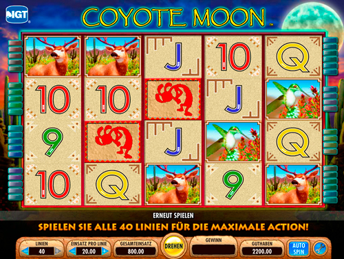 coyote-moon