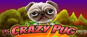 Crazy Pug Logo