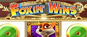 foxin-wins-1