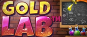 Gold Lab