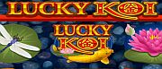 lucky-koi-1