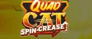 Quad Cat Logo