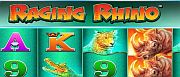 Raging Rhino