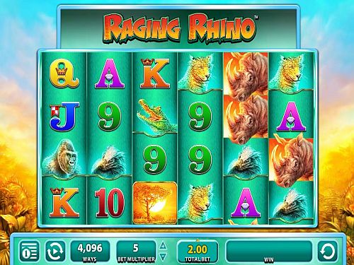 Raging Rhino