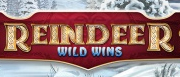 Reindeer Wild Wins