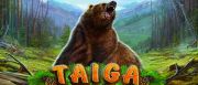 Taiga Logo