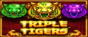 Triple Tigers