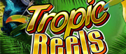 Tropic Reels