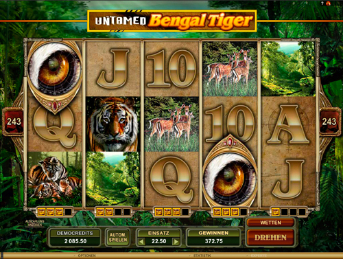 untamed-bengal-tiger