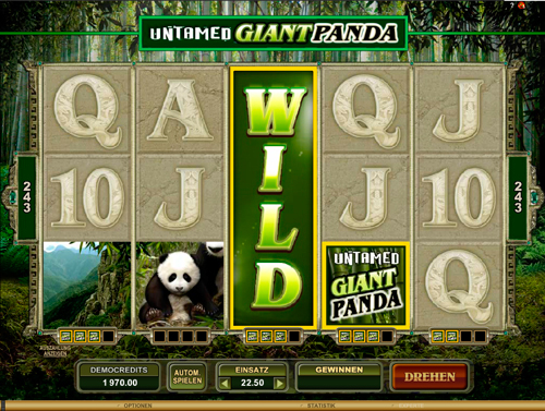 untamed-giant-panda