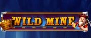 Widl Mine Logo