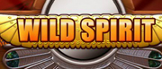 Wild Spirit online Slot | spielanleitung.com