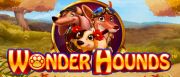 Wonder Hounds