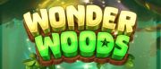 Wonder Woods Logo